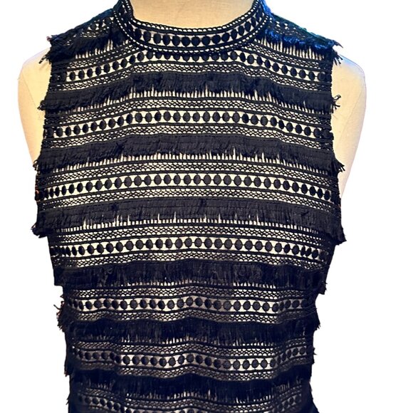 J Crew Black Fringe Sheath Dress, Black With Beige Lining, Size 2 - Picture 3 of 9